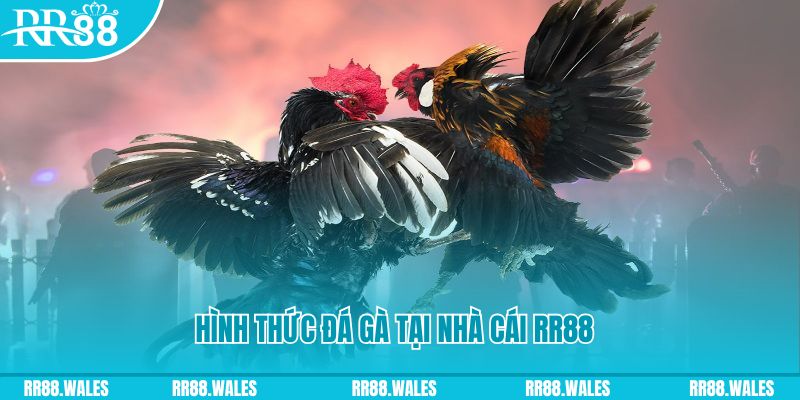 w88 ax game máy bay nổ hủ