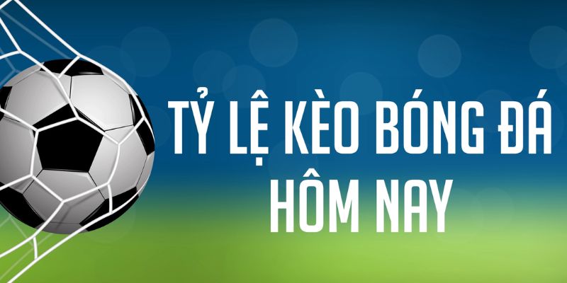 w88 ax đá gà cam 67