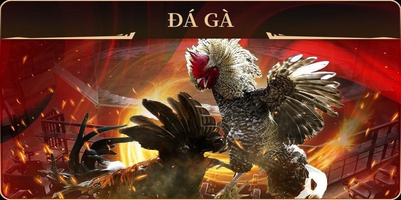 w88 ax game bài đổi thưởng may club