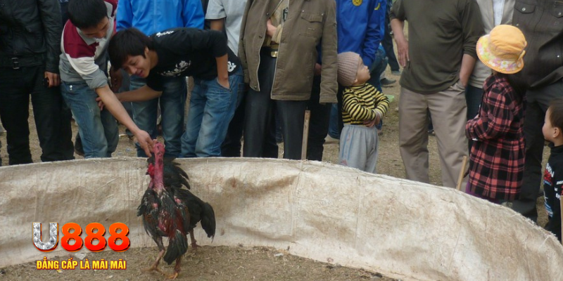 w88 ax what is baccarat