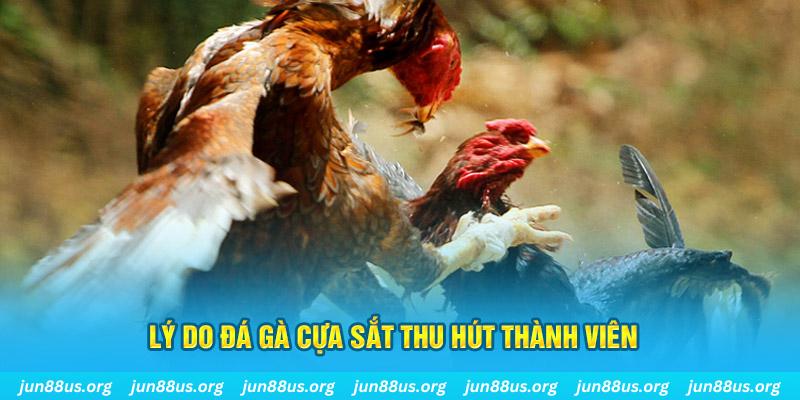 w88 ax xổ số bến tre