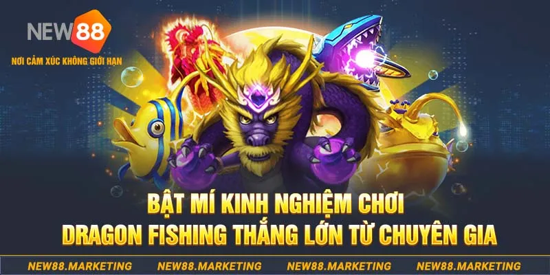 w88 ax người chia bài trong casino gọi là gì